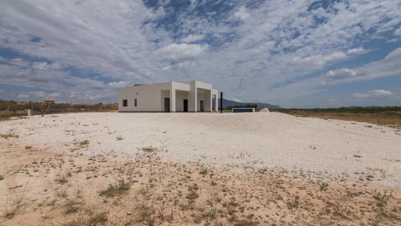 Nieuwbouw Woningen - Villa - Pinoso - Lel