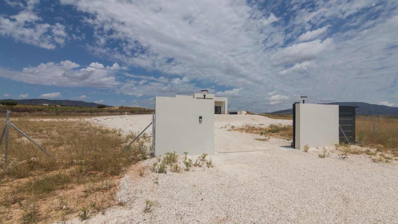 Nieuwbouw Woningen - Villa - Pinoso - Lel
