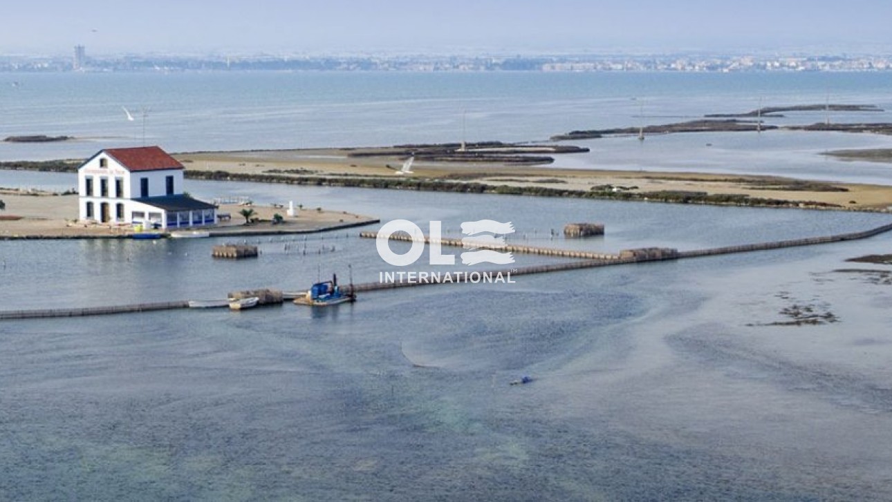 Новое здание - Villa - San Pedro del Pinatar - El Salero