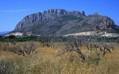 New Build - Townhouse - El Verger - Playa de La Almadraba