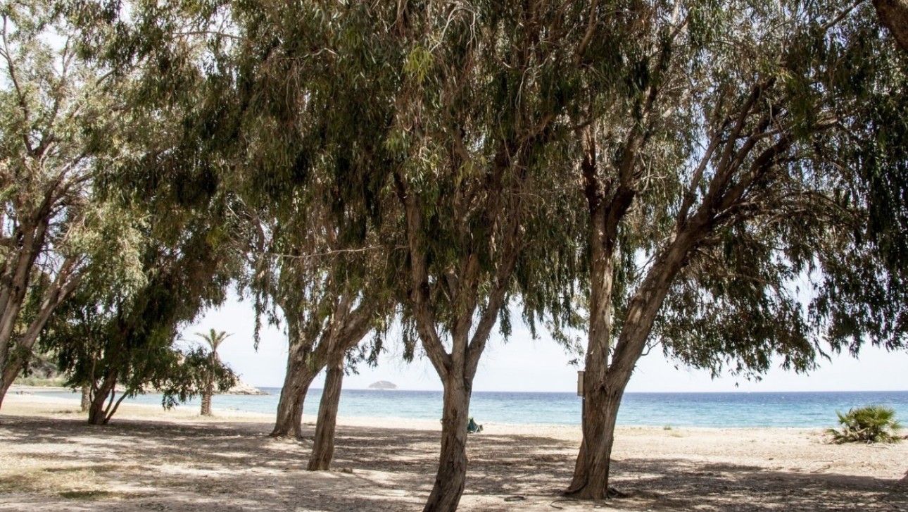 Nieuwbouw Woningen - Apartment - Villajoyosa - Playa Les Torres