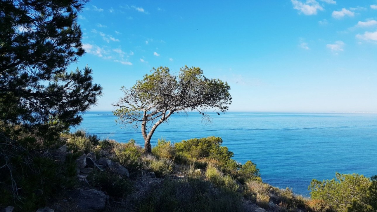 Nieuwbouw Woningen - Apartment - Villajoyosa - Playa Les Torres