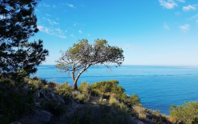 Nieuwbouw Woningen - Apartment - Villajoyosa - Playa Les Torres