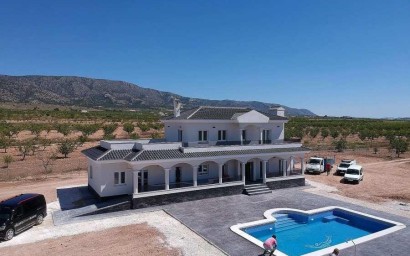 New Build - Villa - Pinoso - Camino Del Prado