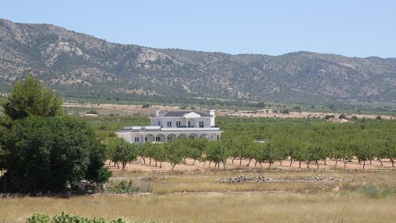 New Build - Villa - Pinoso - Camino Del Prado