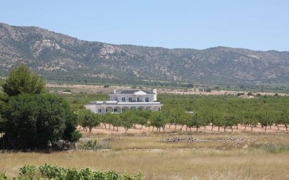 New Build - Villa - Pinoso - Camino Del Prado