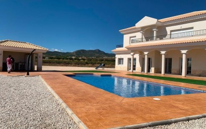 New Build - Villa - Pinoso - Camino Del Prado