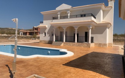 New Build - Villa - Pinoso - Camino Del Prado