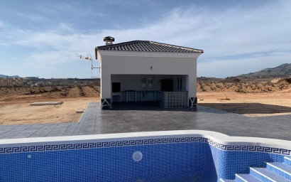 New Build - Villa - Pinoso - Camino Del Prado