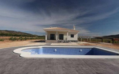 New Build - Villa - Pinoso - Camino Del Prado