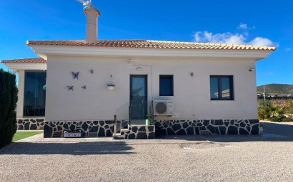 New Build - Villa - Pinoso - Camino Del Prado
