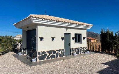 New Build - Villa - Pinoso - Camino Del Prado