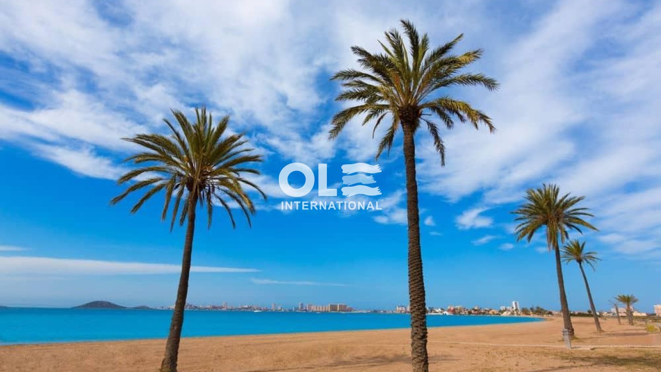 Новое здание - Villa - Torre Pacheco - Roldán