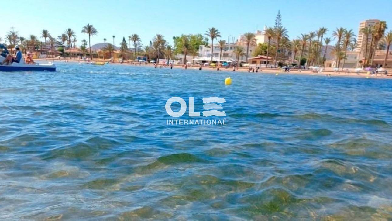 Новое здание - Villa - Torre Pacheco - Roldán