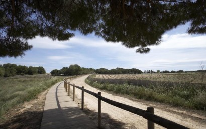 Новое здание - Villa - Torrevieja - Sector 25