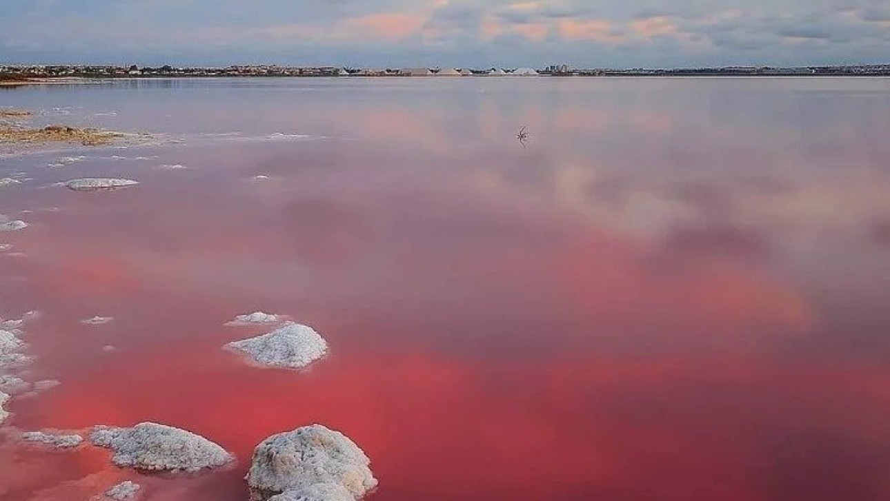Новое здание - Бунгало - Torrevieja - Lago Jardín II