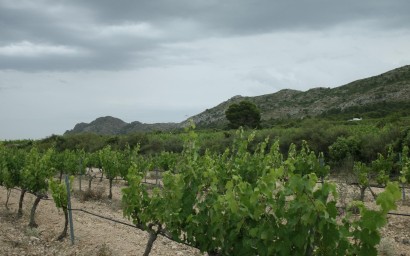 Nowy budynek - Villa - Yecla