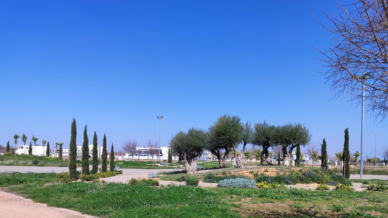 New Build - Apartment - Torre Pacheco - Centro