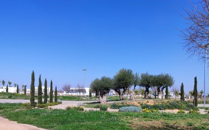 New Build - Apartment - Torre Pacheco - Centro