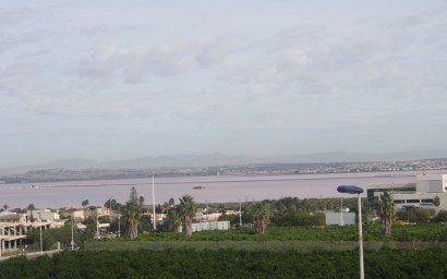 New Build - Townhouse - Torrevieja - Los Altos