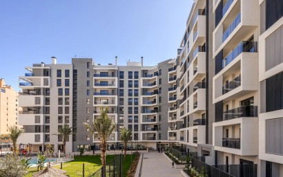 Obra nueva - Apartment - Alicante - PAU 1