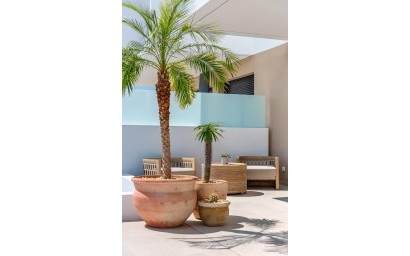 Nieuwbouw Woningen - Villa - Dolores - Sector 3