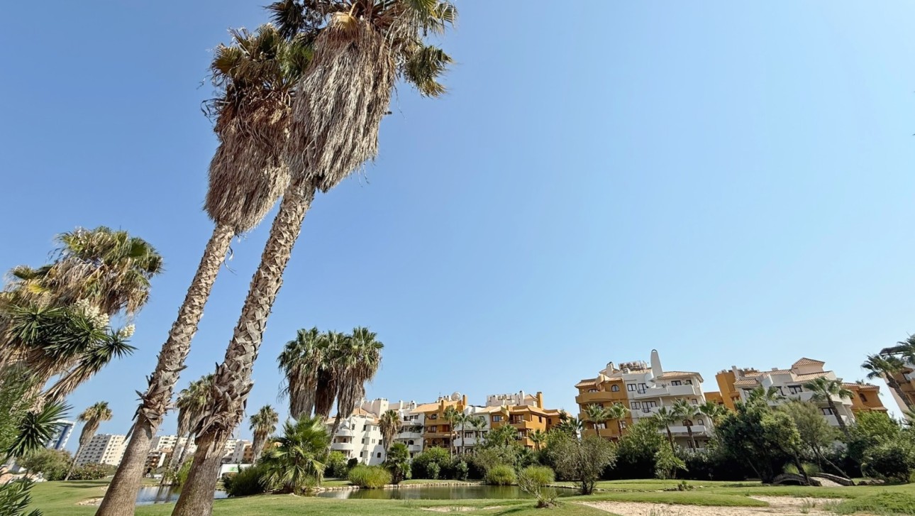 Перепродажа - Пентхаус - Torrevieja - Punta Prima