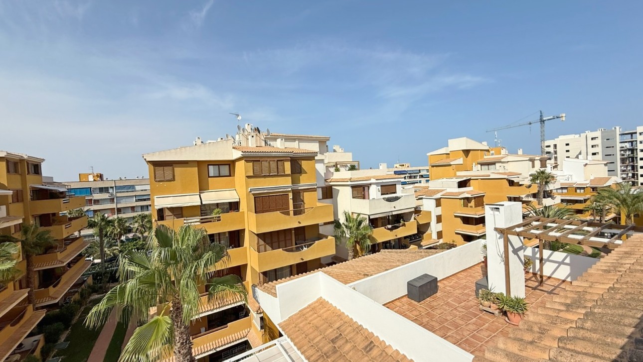 Перепродажа - Пентхаус - Torrevieja - Punta Prima