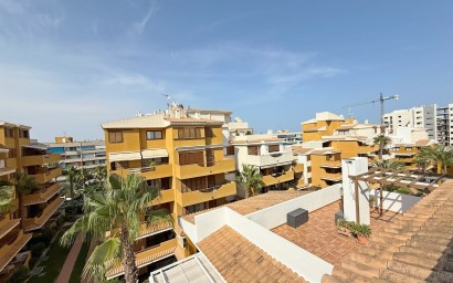 Перепродажа - Пентхаус - Torrevieja - Punta Prima