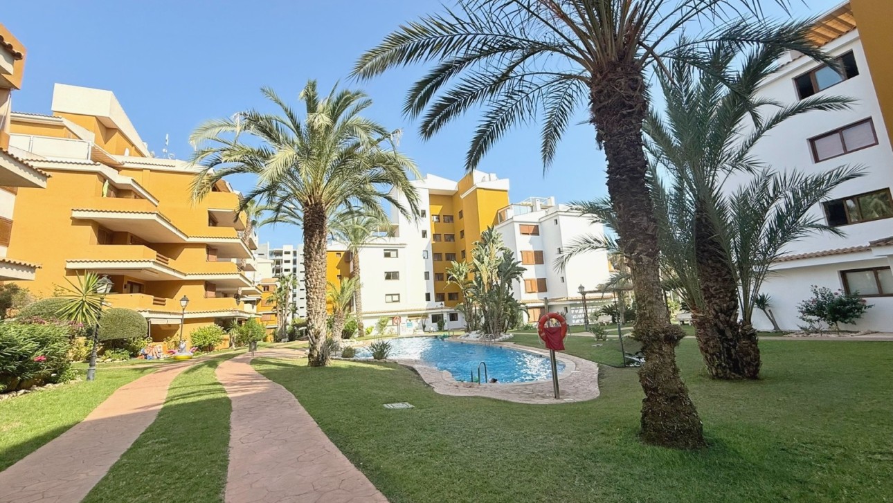 Перепродажа - Пентхаус - Torrevieja - Punta Prima