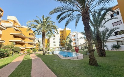 Перепродажа - Пентхаус - Torrevieja - Punta Prima