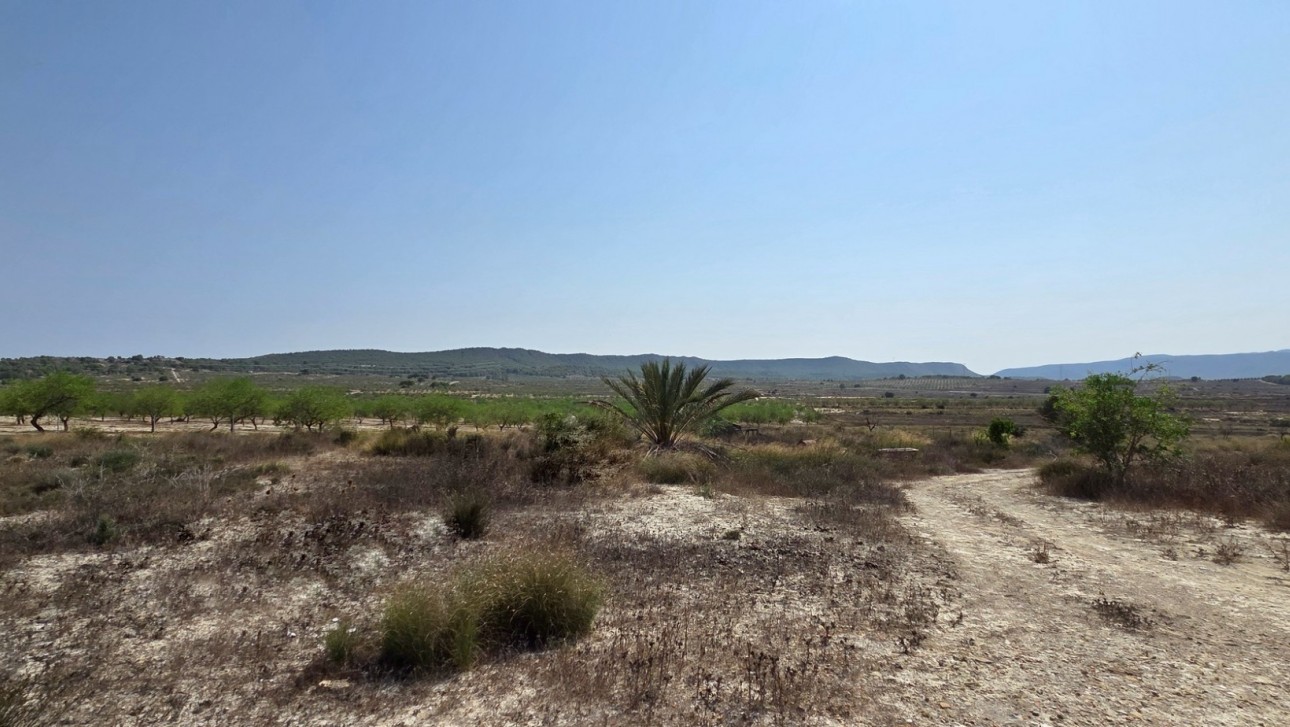 Resale - Plot / Land - San Miguel de Salinas