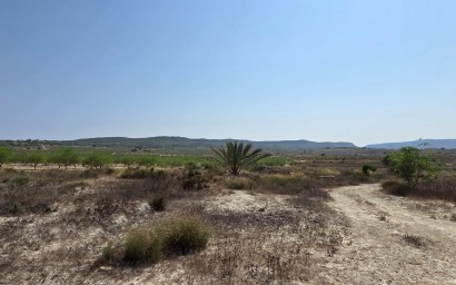 Resale - Plot / Land - San Miguel de Salinas