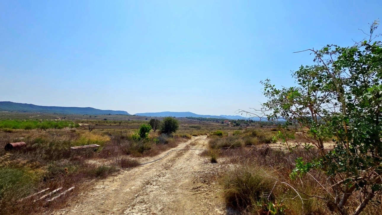 Resale - Plot / Land - San Miguel de Salinas