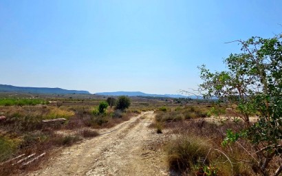 Resale - Plot / Land - San Miguel de Salinas