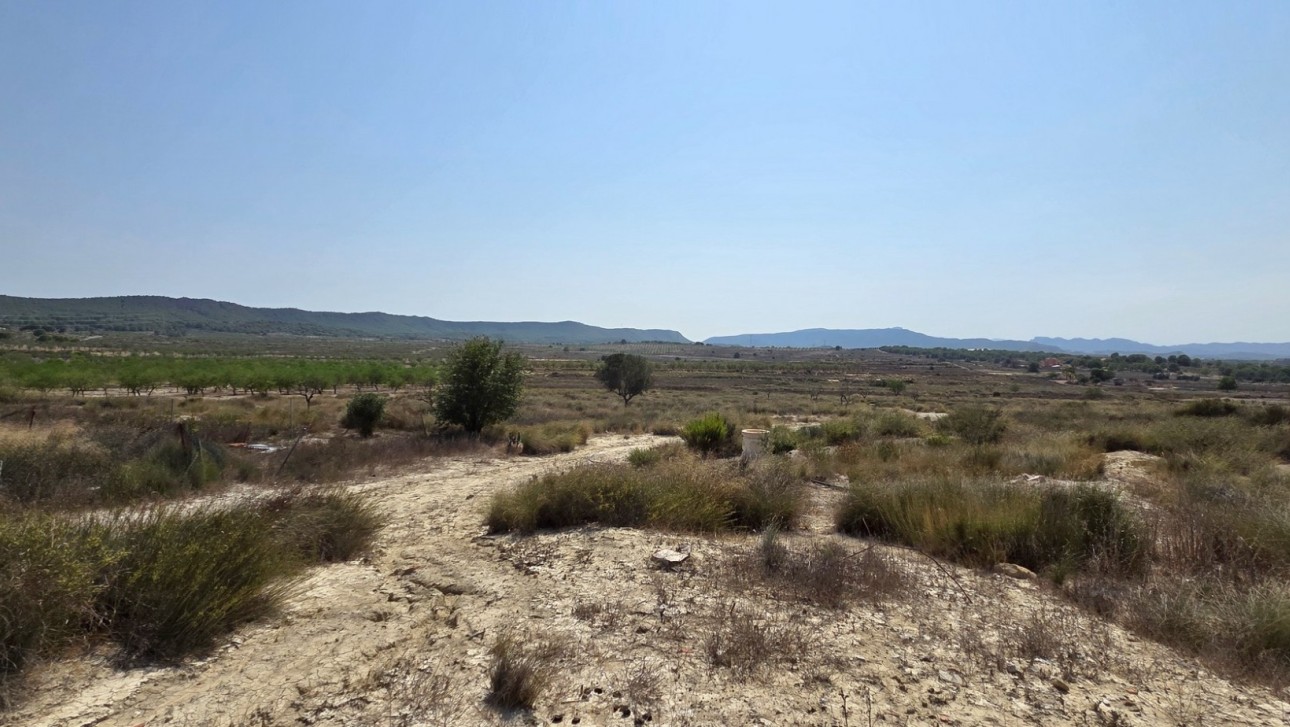 Resale - Plot / Land - San Miguel de Salinas