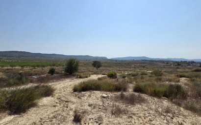 Resale - Plot / Land - San Miguel de Salinas
