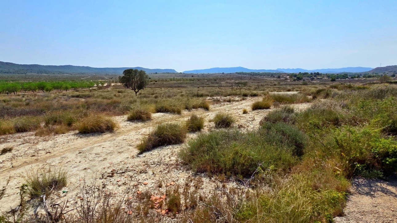 Resale - Plot / Land - San Miguel de Salinas