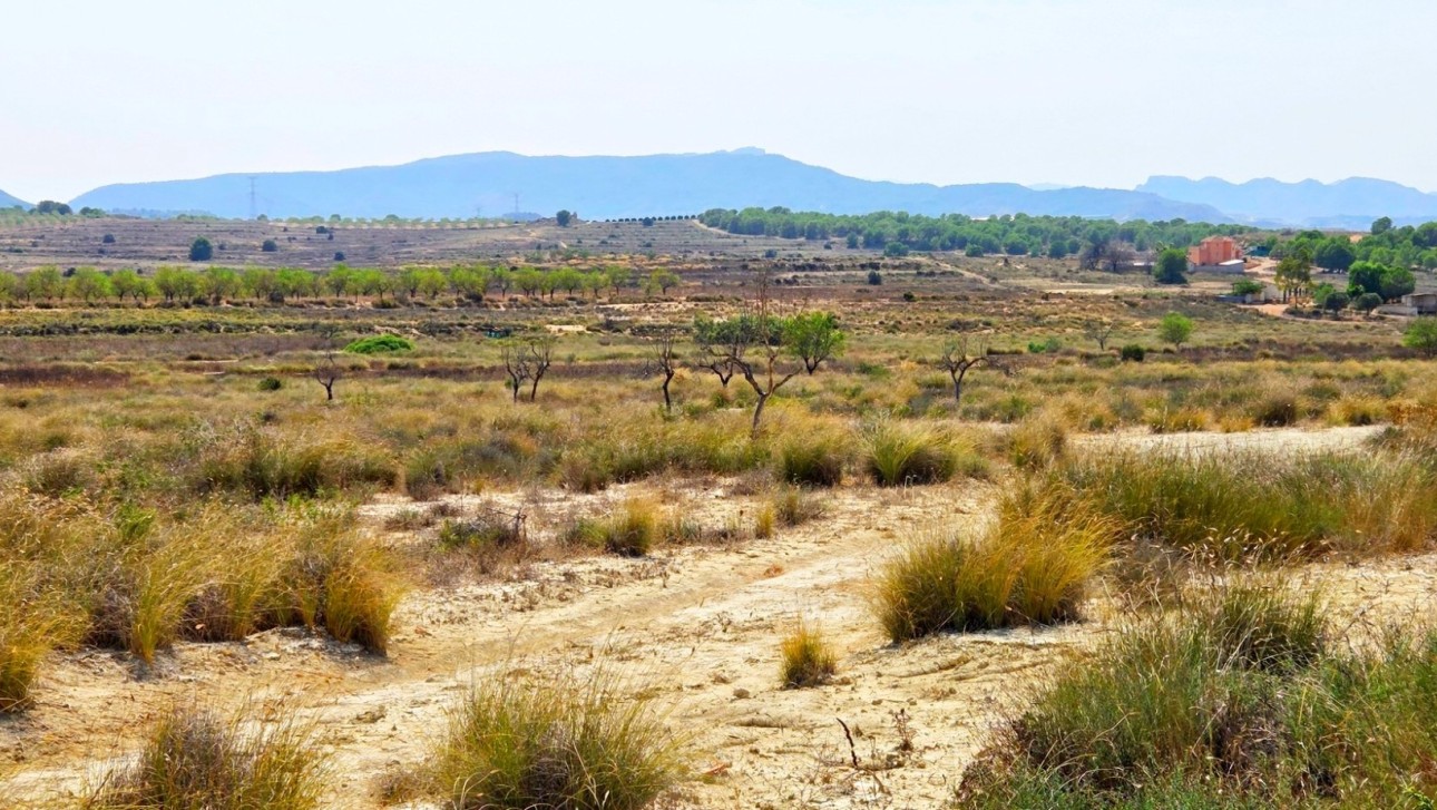 Resale - Plot / Land - San Miguel de Salinas