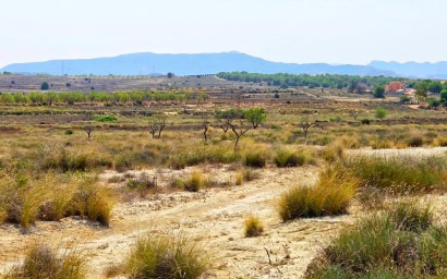 Resale - Plot / Land - San Miguel de Salinas