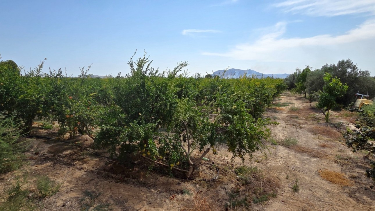 Reventa - Parcela / Terreno - San Isidro