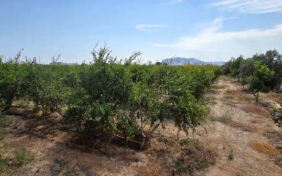 Reventa - Parcela / Terreno - San Isidro