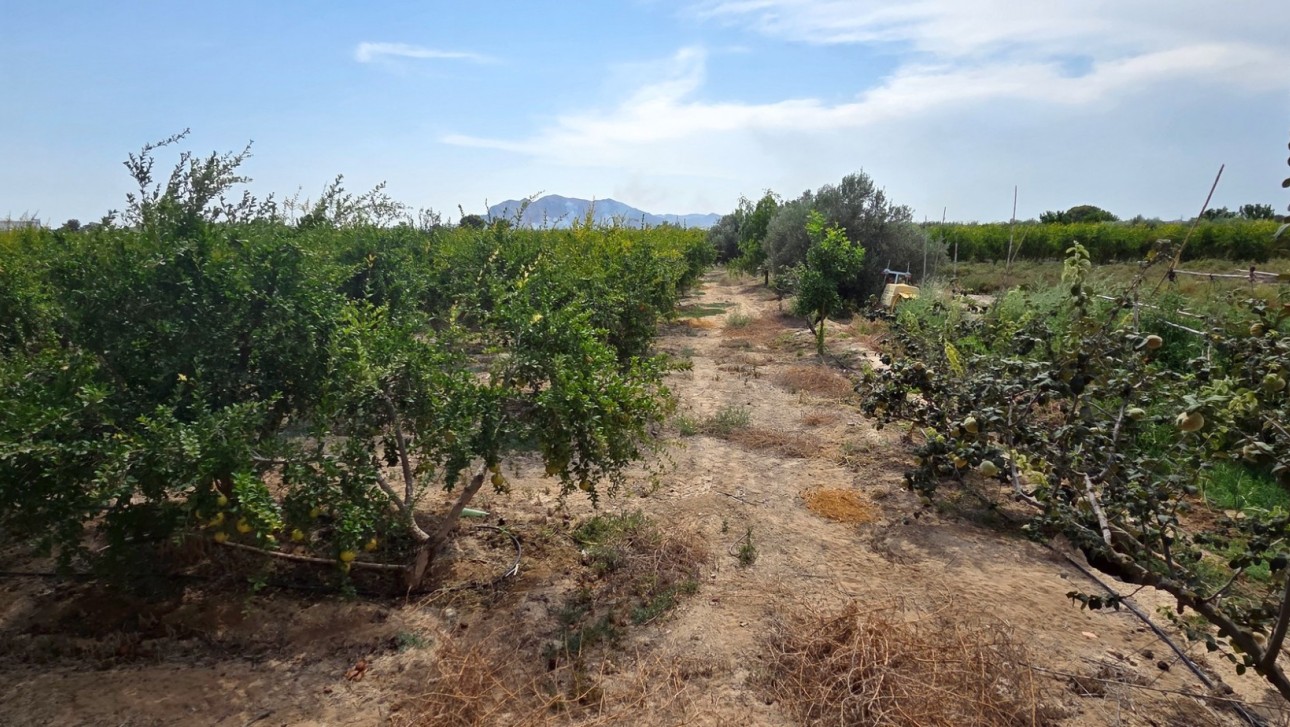 Reventa - Parcela / Terreno - San Isidro