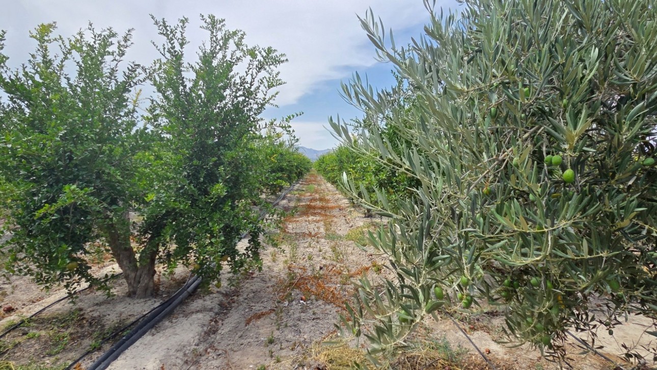 Reventa - Parcela / Terreno - San Isidro