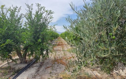 Reventa - Parcela / Terreno - San Isidro
