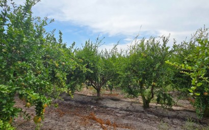 Reventa - Parcela / Terreno - San Isidro