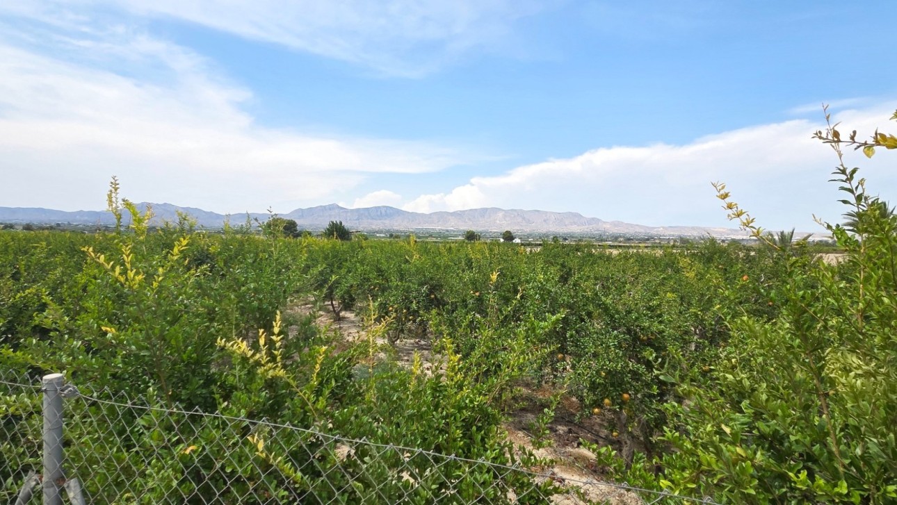 Reventa - Parcela / Terreno - San Isidro