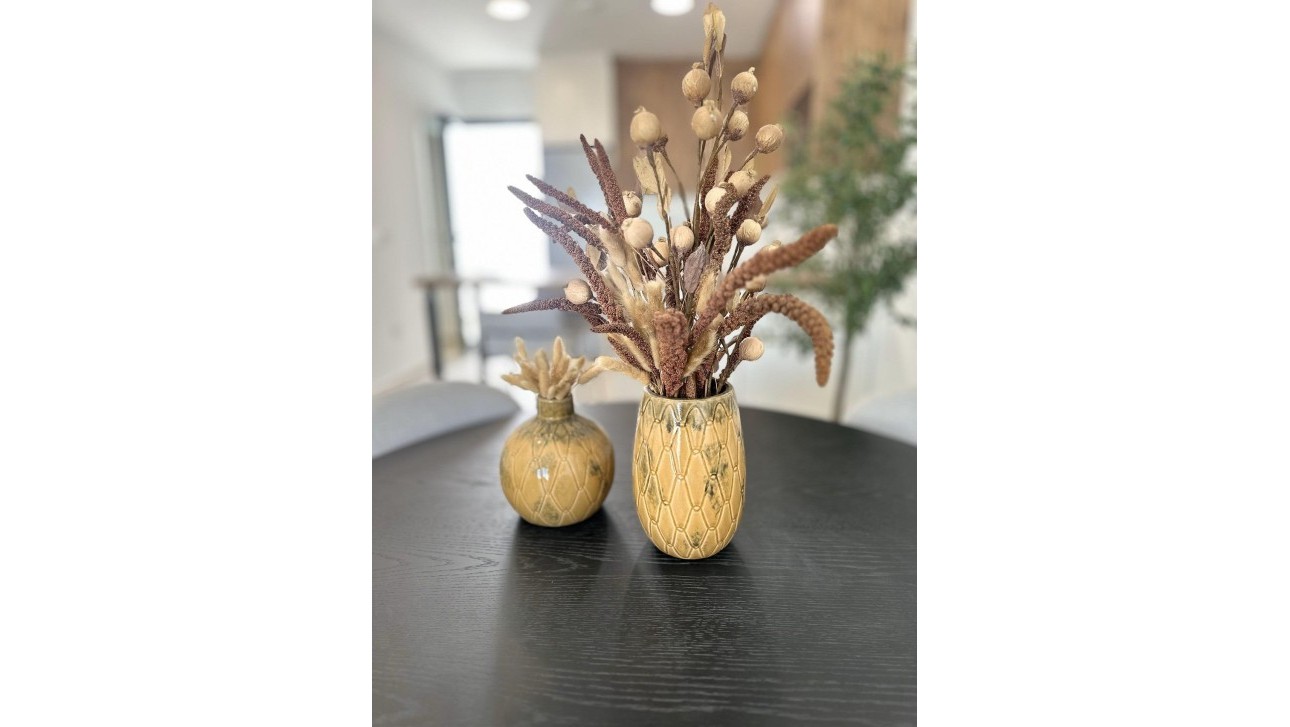 Obra nueva - Bungalow - San Fulgencio - Pueblo