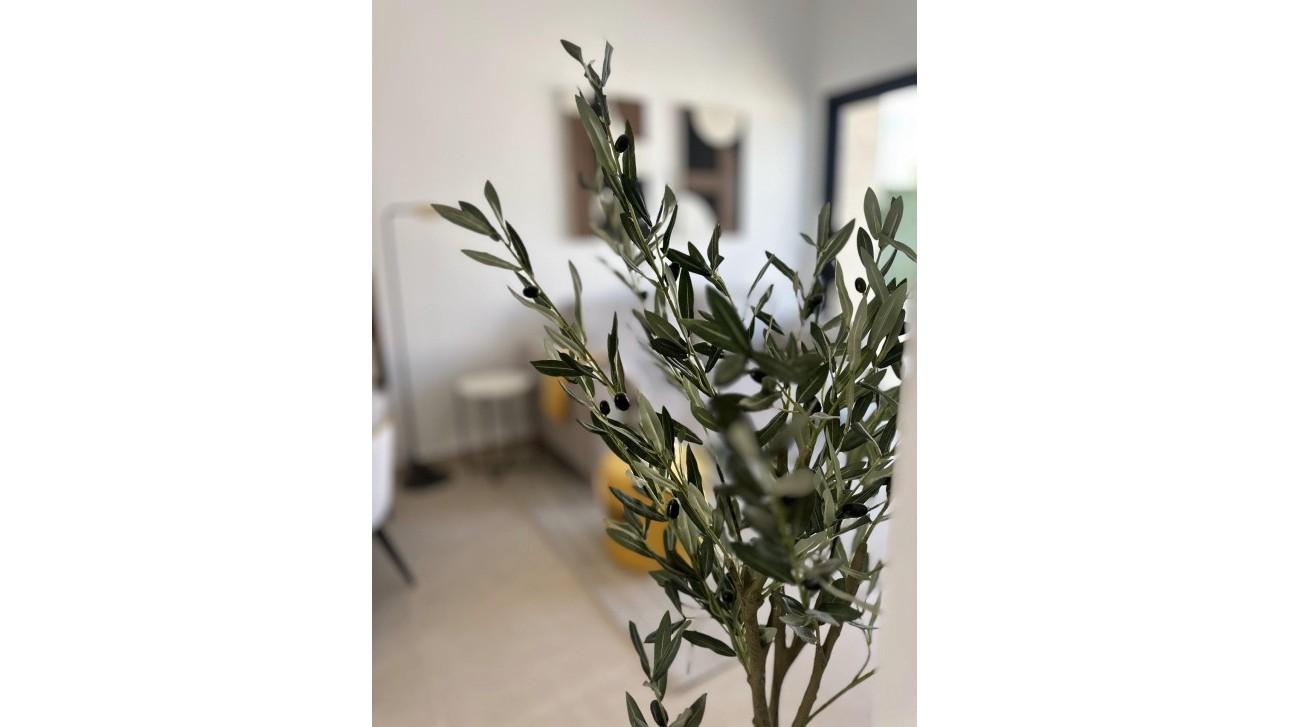 Obra nueva - Bungalow - San Fulgencio - Pueblo