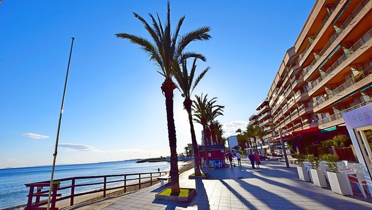 Resale - Land - Torrevieja - Paseo de Torrevieja